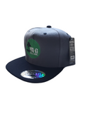 YA-G Grey and Black Flatfim Snapback image 0