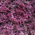 Dried Pink Seamoss image 0
