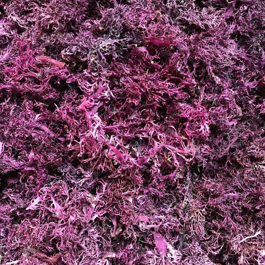Dried Pink Seamoss image 0